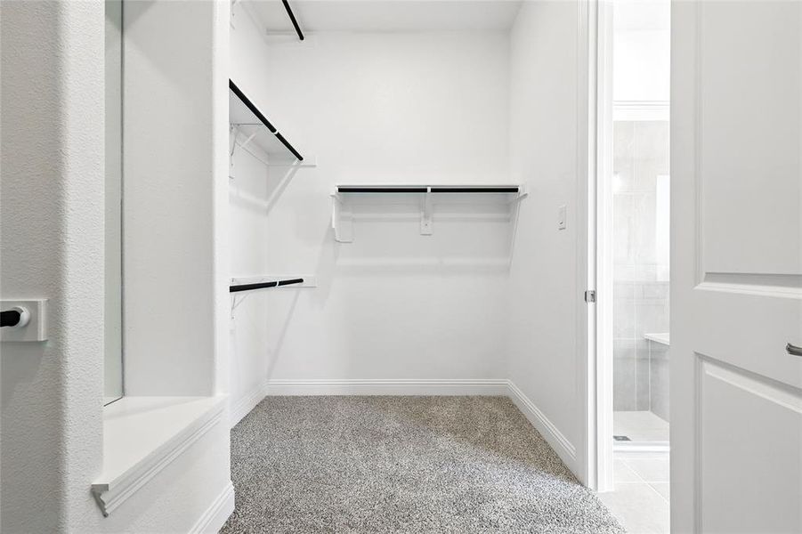 Walk in closet featuring light colored carpet