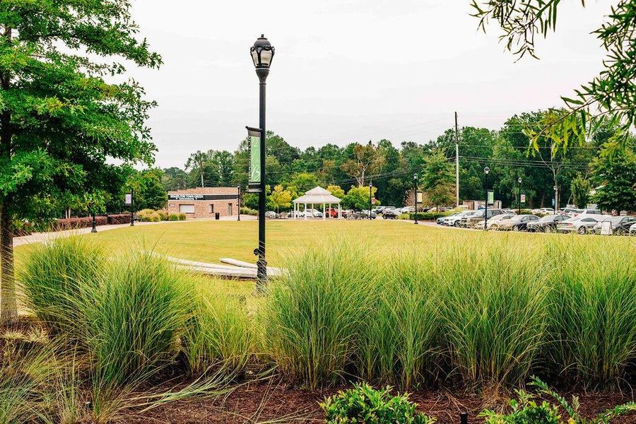 Natural landscape and outdoor views near Rosewood Lake Estates in Hoschton (Image 52).