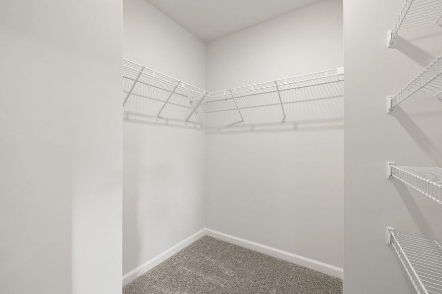 Spacious, unfurnished interior of a new home in Everton, Durham (Image 31).