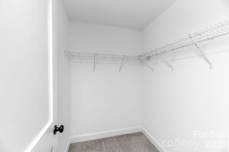 Spacious, unfurnished interior of a new home in , Lexington (Image 21).