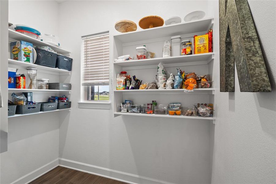 Hidden Pantry