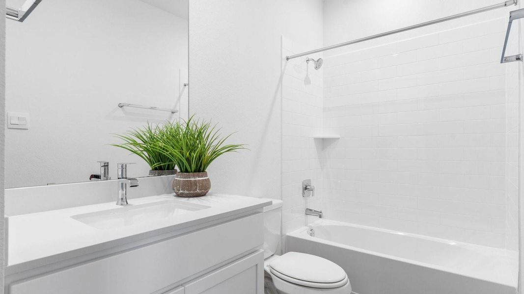 *Images and 3D tour are for illustration only and options may vary from home as built.