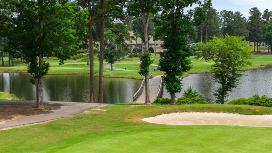 Natural landscape and outdoor views near Fairway 17 at Mirror Lake in Villa Rica (Image 46).
