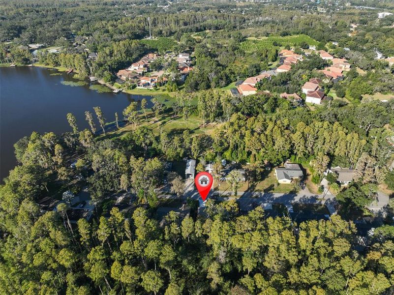 Front exterior of a new home in , Tampa, FL, highlighting curb appeal (Image 27). Front exterior of a new home in , Tampa, FL, highlighting curb appeal (Image 27).