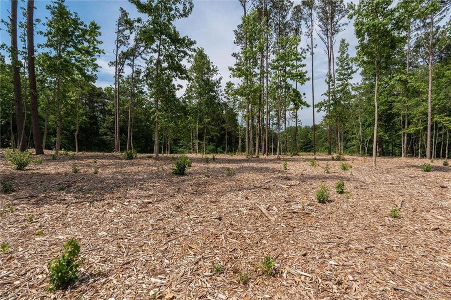 Natural landscape and outdoor views near  in Buchanan (Image 13).