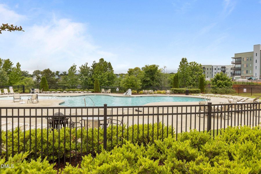 51-web-or-mls-2N6A1044