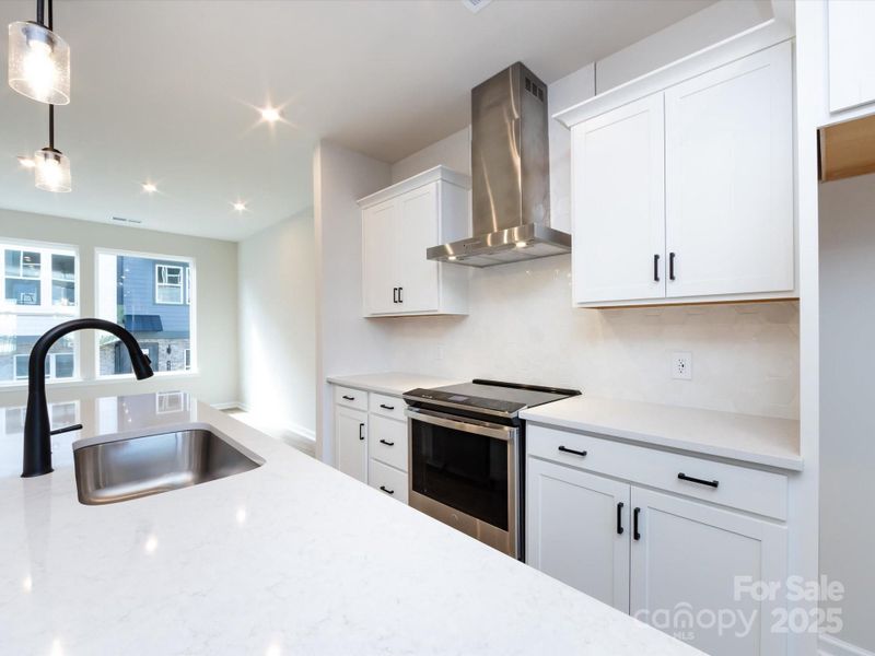 Designer Vent Hood and Electric Range.