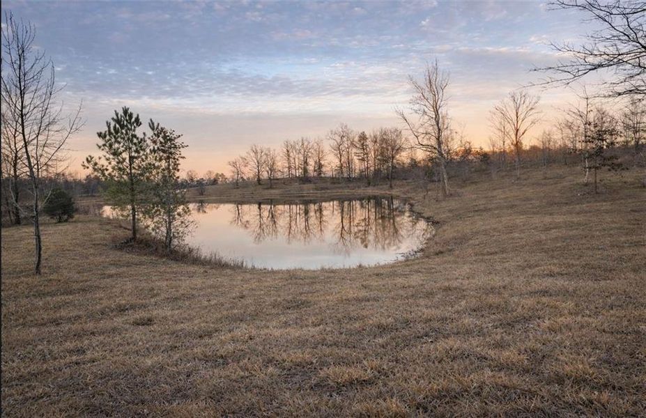 Natural landscape and outdoor views near  in Cave Spring (Image 35).
