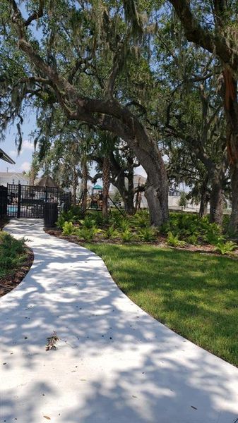 Natural landscape and outdoor views near Pennyroyal in Kissimmee (Image 29). Natural landscape and outdoor views near Pennyroyal in Kissimmee (Image 29).
