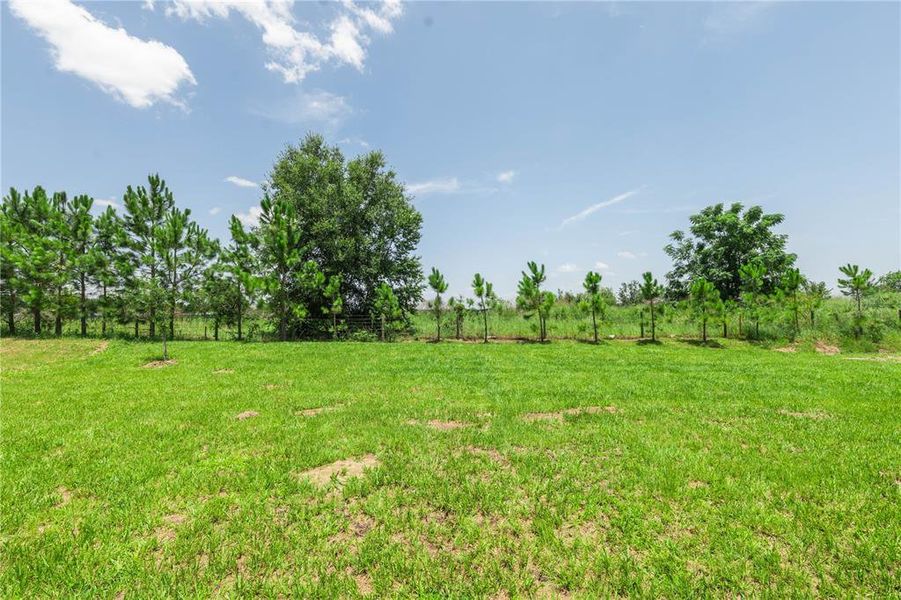 Natural landscape and outdoor views near  in Bartow (Image 30).