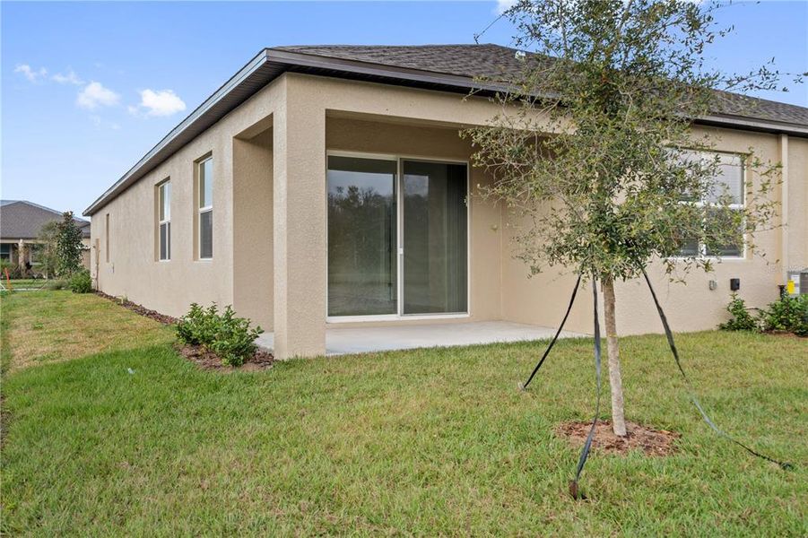 Exterior details and patio area of a home in Angeline, Land O' Lakes (Image 18).