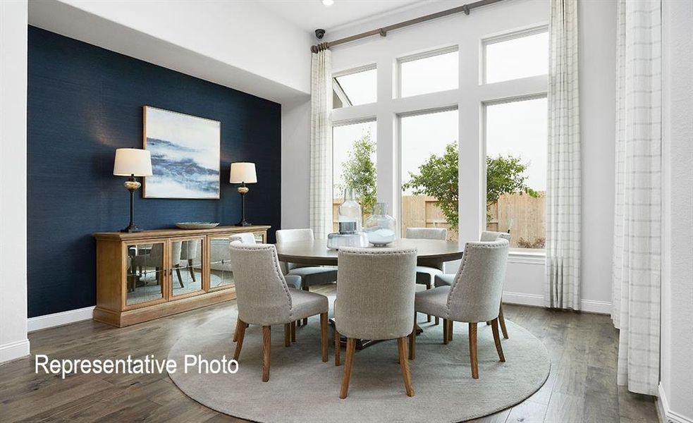 Dining area featuring a dark accent wall and wood-finish flooring