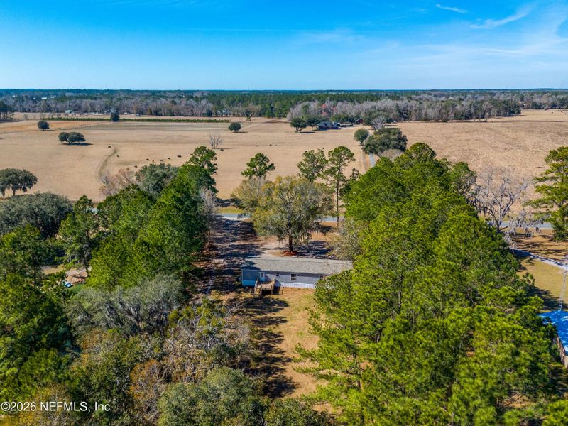 Natural landscape and outdoor views near  in Lake Butler (Image 35).