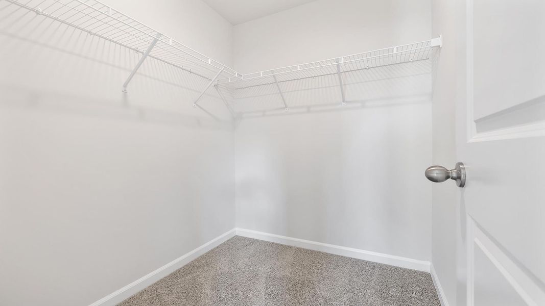 Spacious, unfurnished interior of a new home in Sage Grove, Lyman (Image 31).