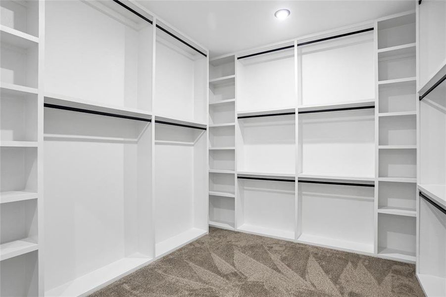 Spacious closet featuring carpet flooring Spacious closet featuring carpet flooring