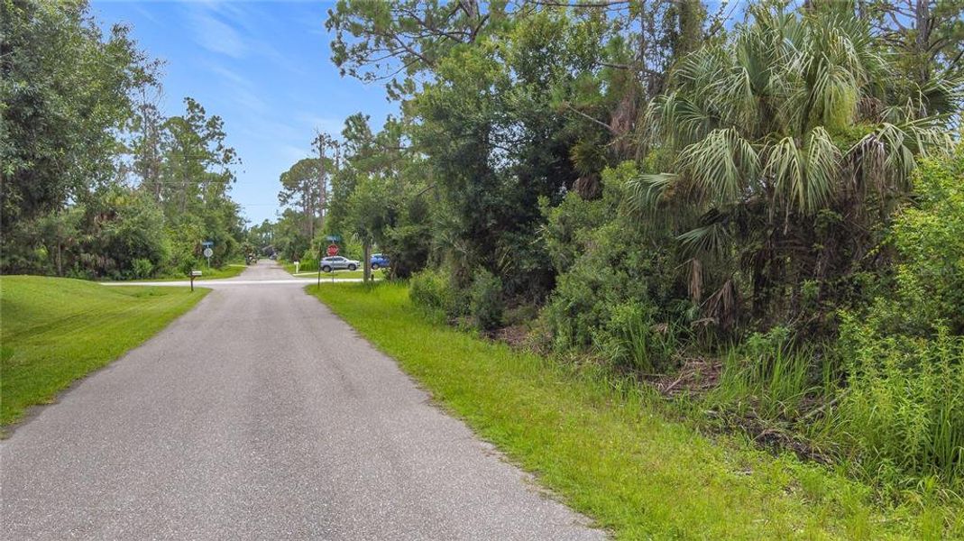 Natural landscape and outdoor views near  in North Port (Image 35).