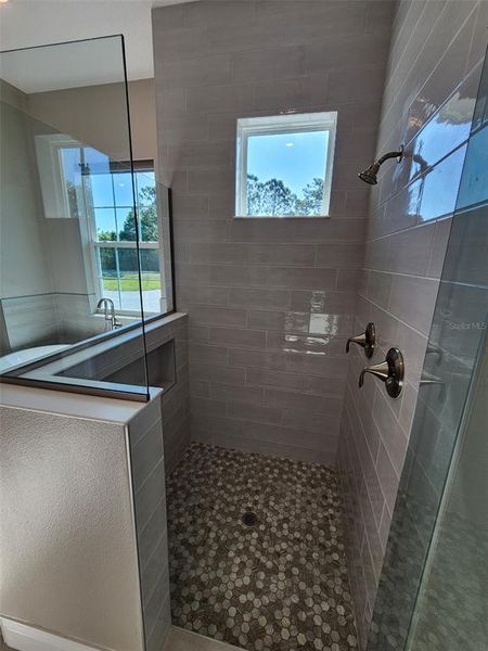 Master walk-in shower