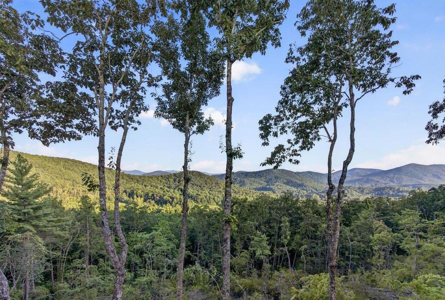 Natural landscape and outdoor views near  in Blue Ridge (Image 82).
