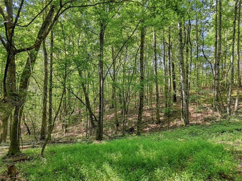 Natural landscape and outdoor views near  in Talking Rock (Image 43).