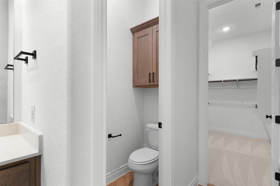 Bathroom featuring vanity, a walk in closet, recessed lighting, and light wood-style floors