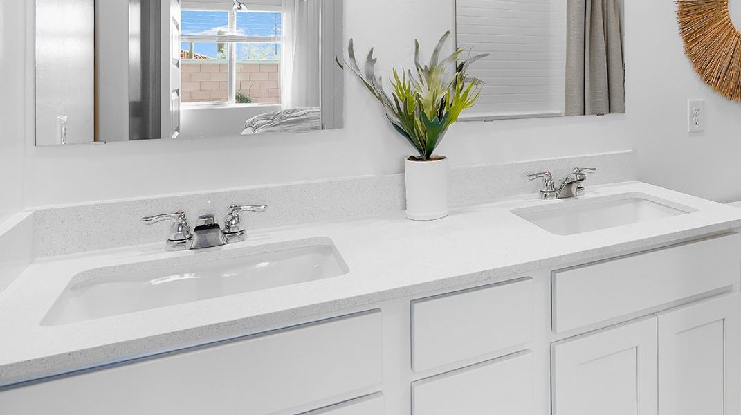 Entrada Del Toro Ironwood Collection Bristle 26