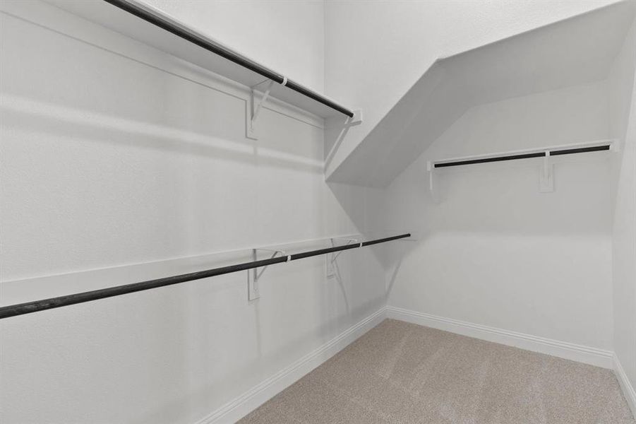 DAL_Painted Tree_Mineola_3916 Attwater Street (30)