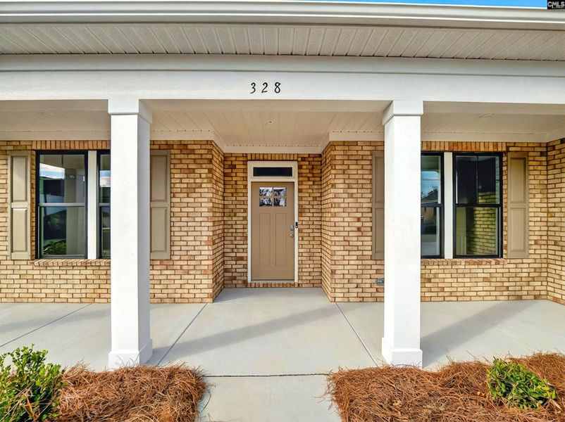 Exterior details and patio area of a home in Collins Cove, Chapin (Image 3).