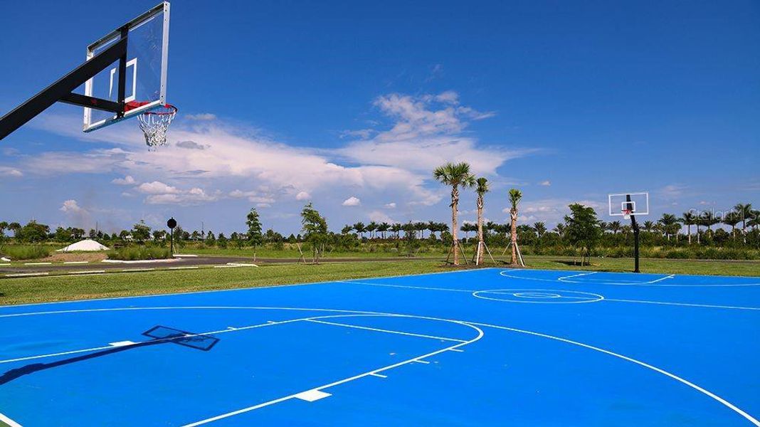 Community amenities in The Townhomes at Skye Ranch, Sarasota (Image 20).