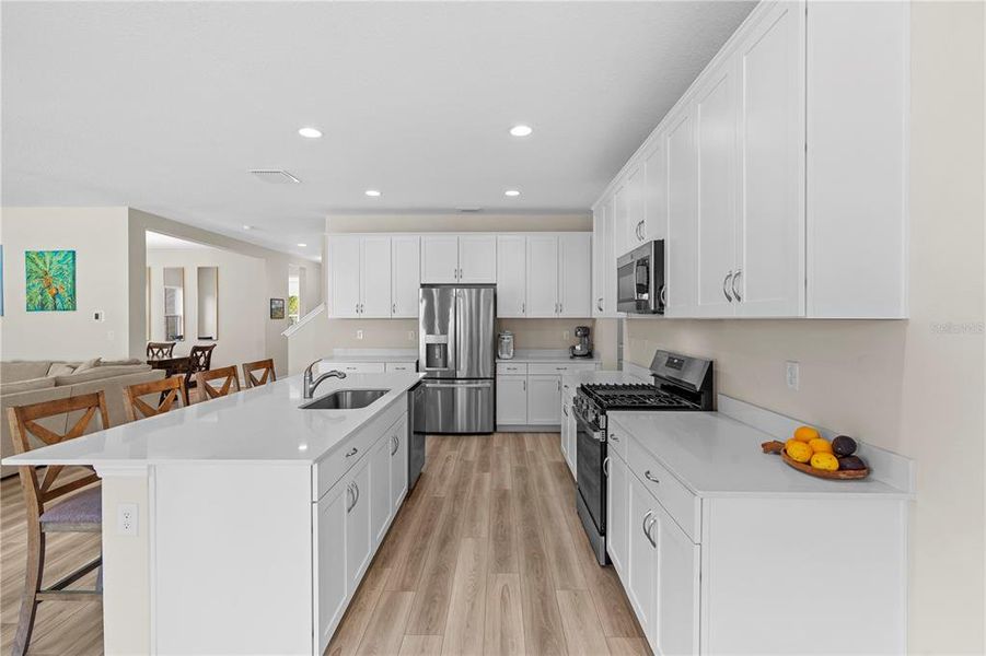 Furnished interior view inside a new home in Hawkstone, Lithia (Image 5).