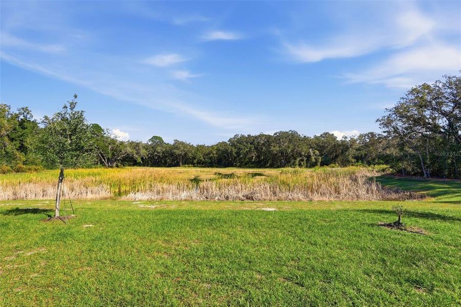 Natural landscape and outdoor views near Lakewood Park in Deland (Image 38). Natural landscape and outdoor views near Lakewood Park in Deland (Image 38).