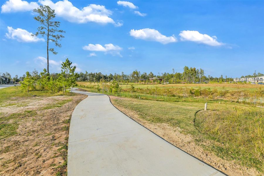 Natural landscape and outdoor views near Evergreen 55' in Conroe (Image 39).