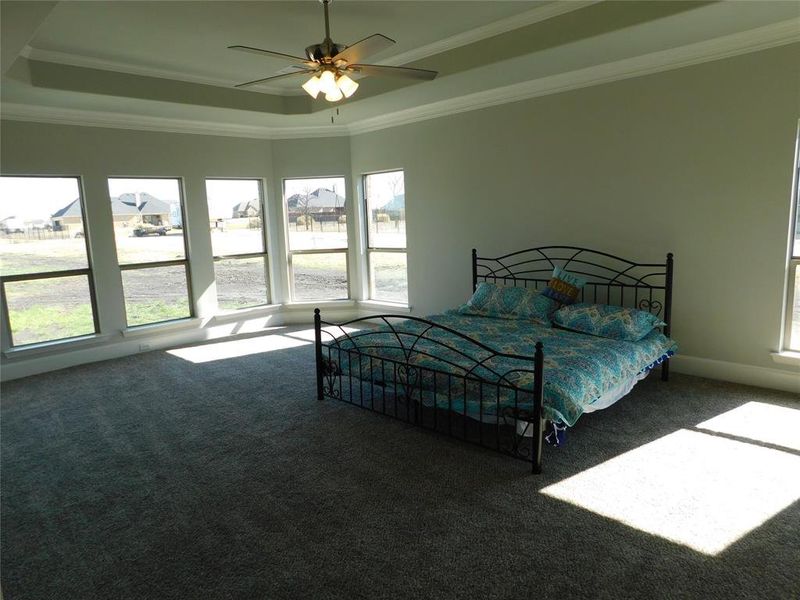 Massive Primary bedroom featuring crown molding, ceiling fan, and a raised ceiling