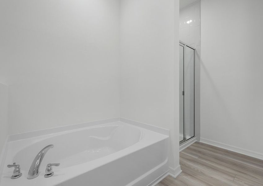 The master bath includes a luxurious bath tub