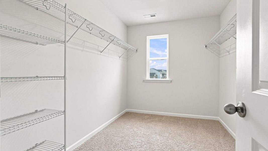 Spacious, unfurnished interior of a new home in Carter Ridge, Greenville (Image 25).