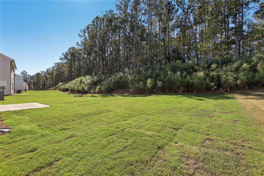 Natural landscape and outdoor views near The Pointe at Heron Bay in Locust Grove (Image 35).
