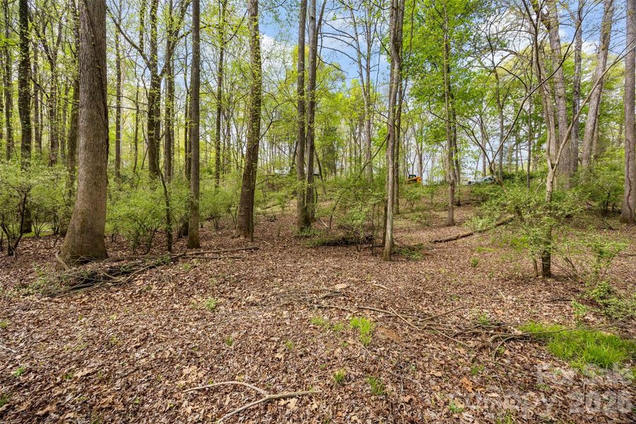Natural landscape and outdoor views near  in Charlotte (Image 6).