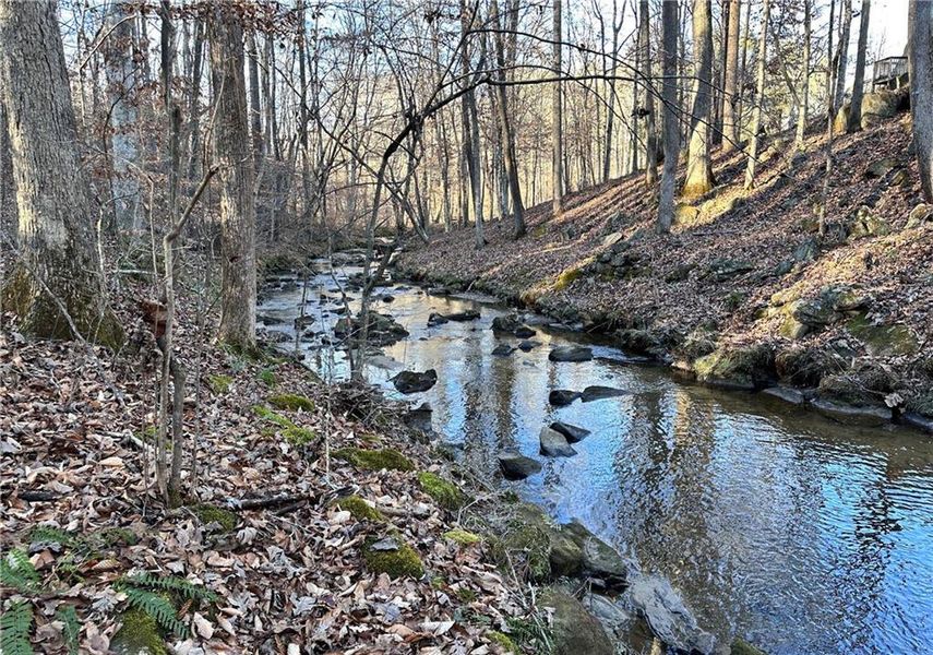 Natural landscape and outdoor views near  in Cumming (Image 21).