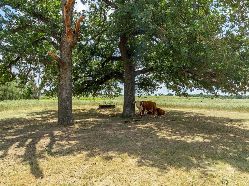 Image 39 of a home in .