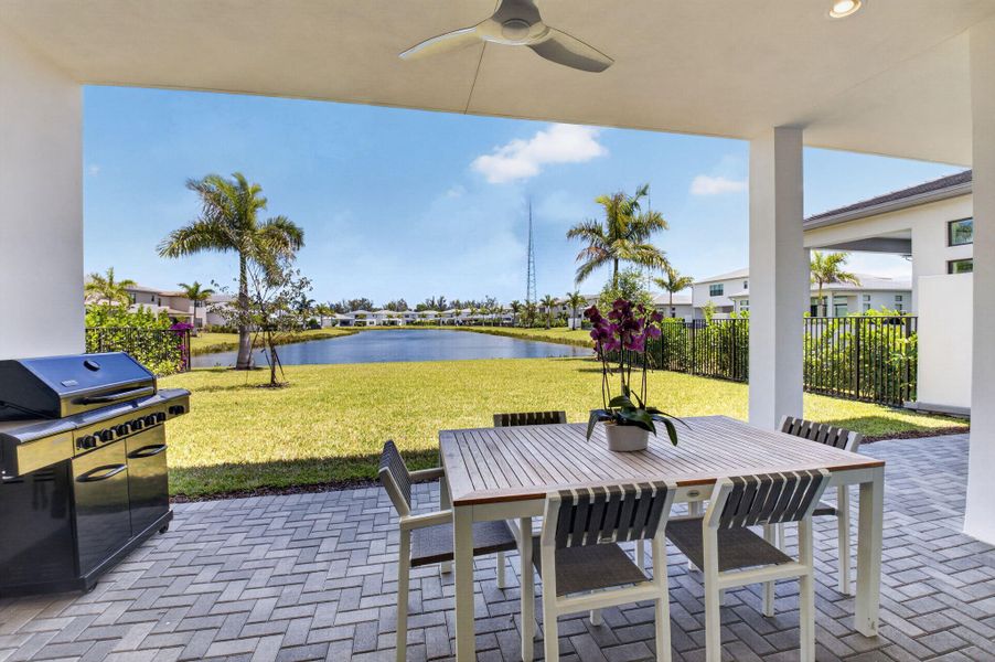 backyard backyard