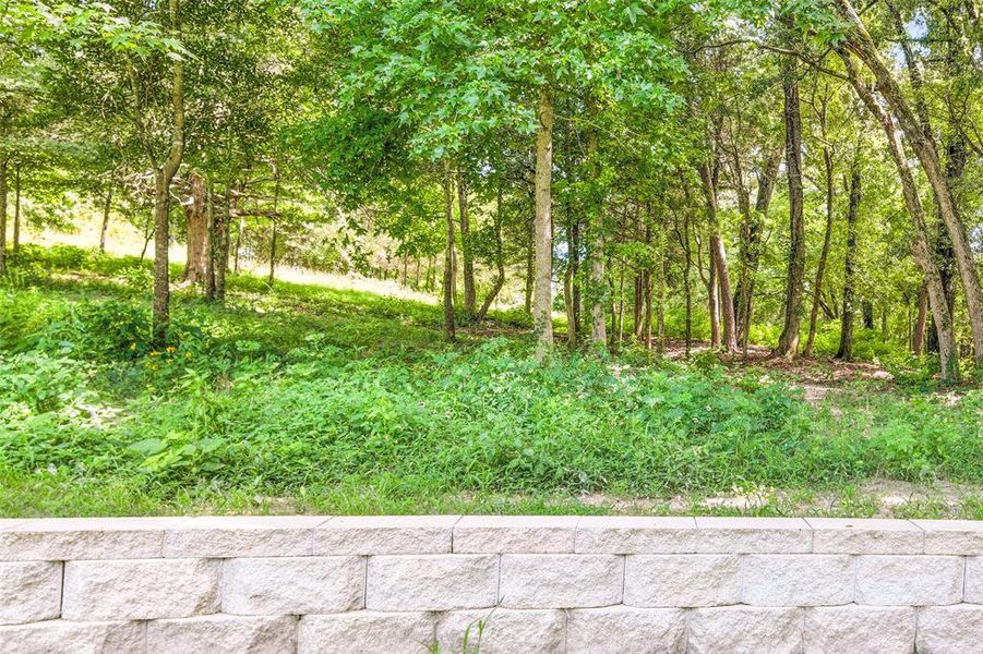 Natural landscape and outdoor views near  in Winona (Image 19).