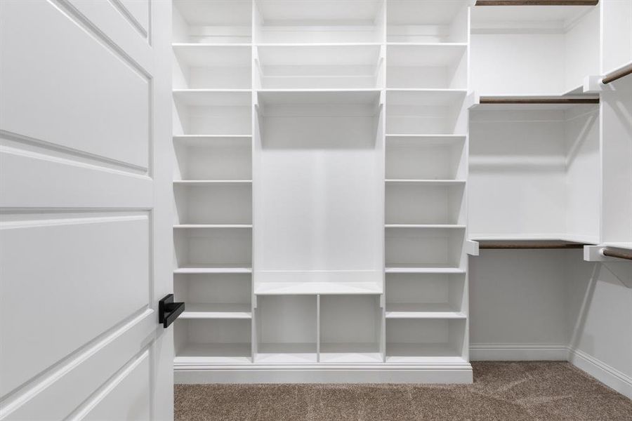 Spacious closet featuring carpet