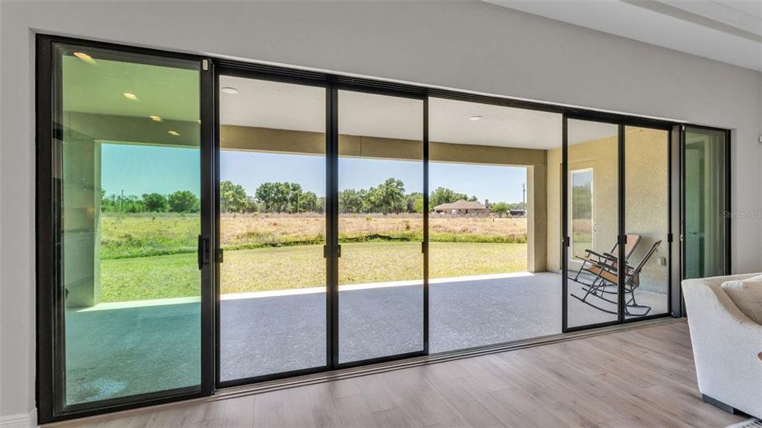 Exterior details and patio area of a home in Hawkstone, Lithia (Image 4).