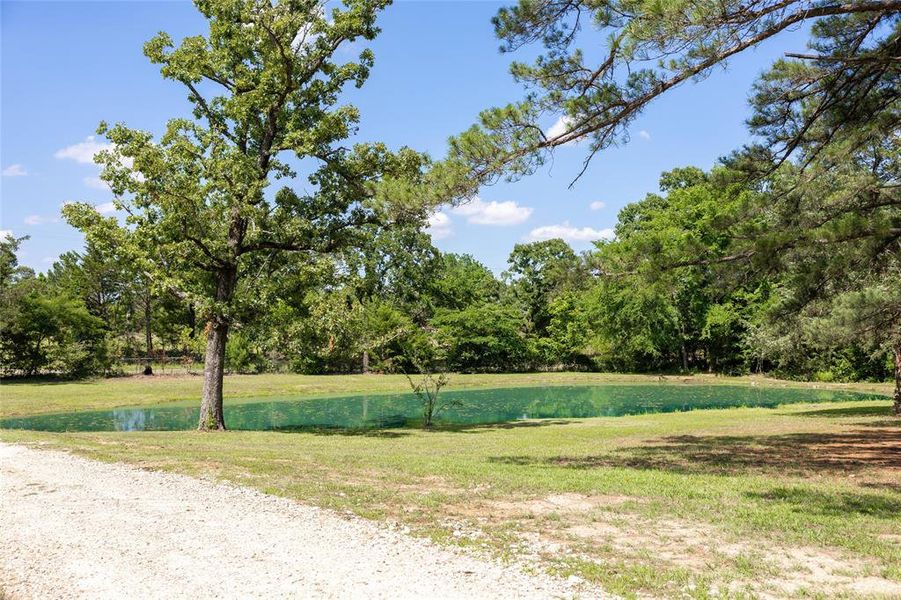 Natural landscape and outdoor views near  in Powderly (Image 22).