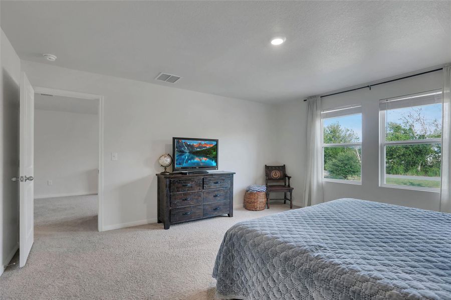 Spacious primary bedroom overlooking farmland.