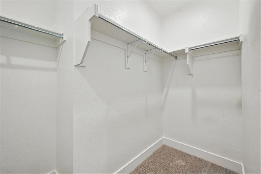 811SunflowerTrailANGECM016 811SunflowerTrailANGECM016