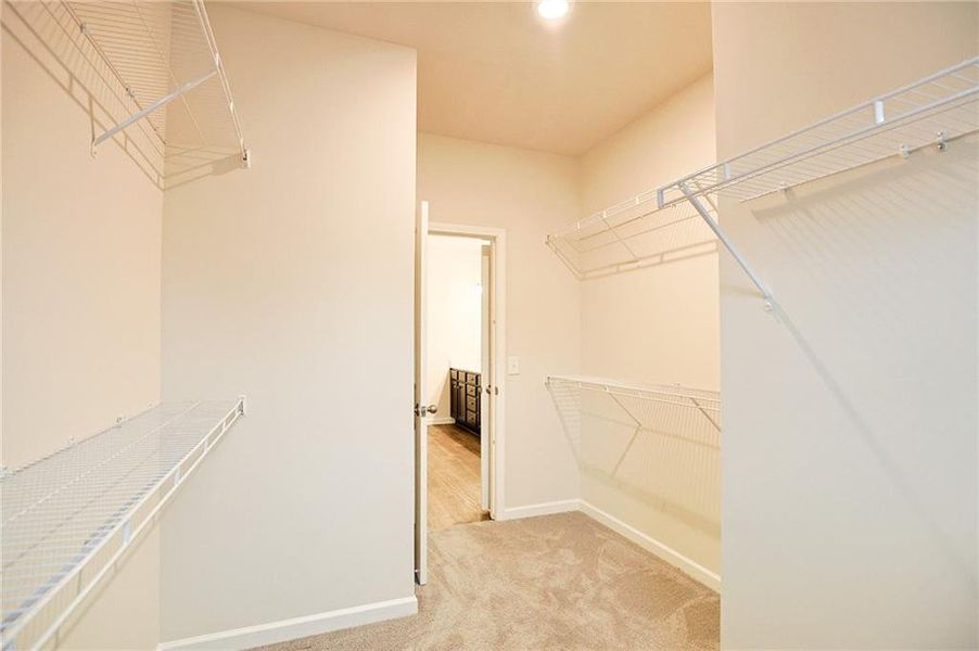 Spacious, unfurnished interior of a new home in , Auburn (Image 22).
