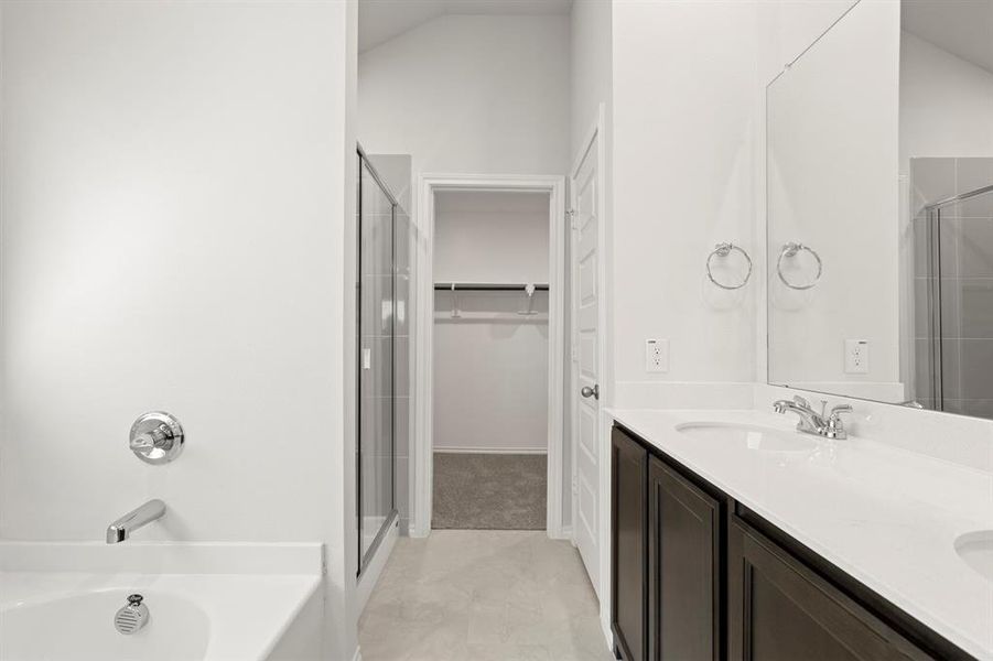 22. 118 Coyote - Bath (2) 22. 118 Coyote - Bath (2)