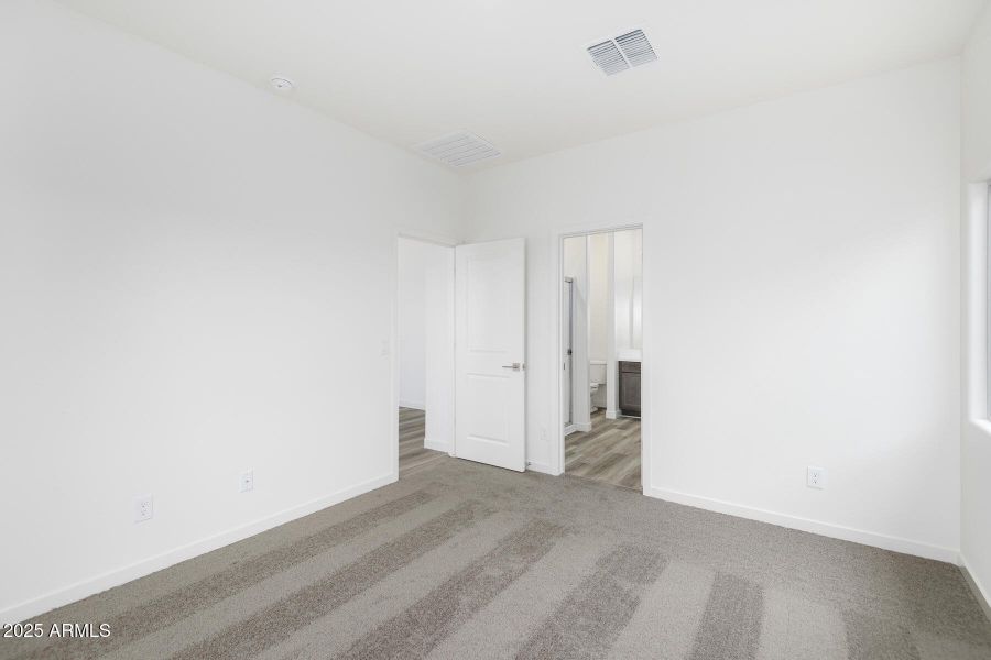 Southwest_Ash_001 Southwest_Ash_001