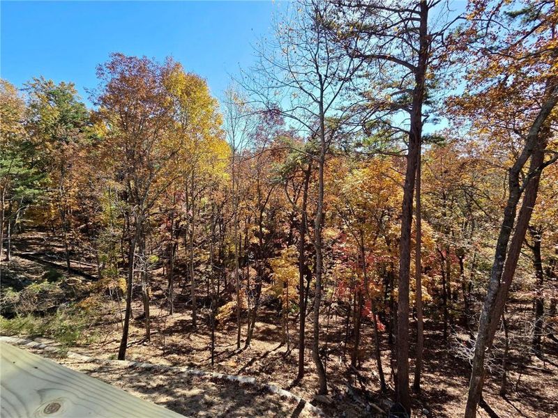 Natural landscape and outdoor views near in Waleska (Image 14). Natural landscape and outdoor views near in Waleska (Image 14).