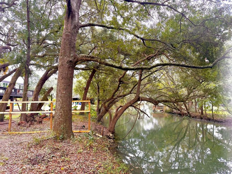Natural landscape and outdoor views near  in Mount Pleasant (Image 11).